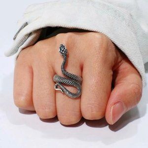 JUST ARRIVED!!! Captivating Silver Snake Wrap Ring